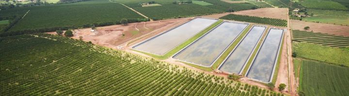 Agribusiness